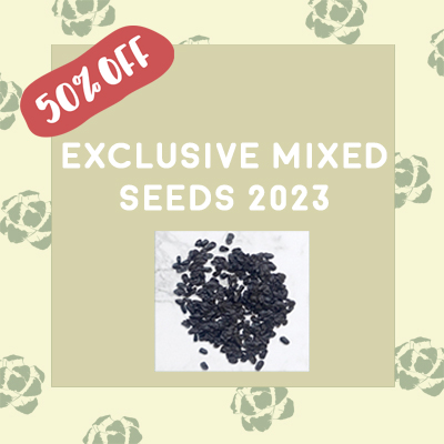 Exclusive Mixed Seeds 2023