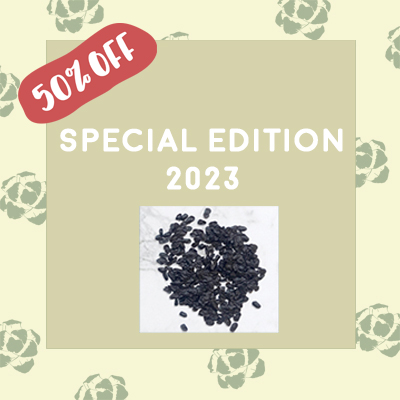 Special Edition 2023