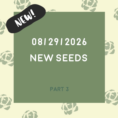 Aug. 29th, 2026 (New Seeds) Aug. 29th, 2026 (New Seeds)