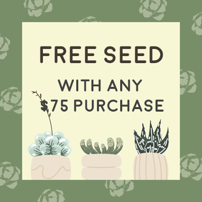 Free Seed With Any $75 Purchase Free Seed With Any $75 Purchase