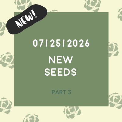 July 25th, 2026 (New Seeds) July 25th, 2026 (New Seeds)