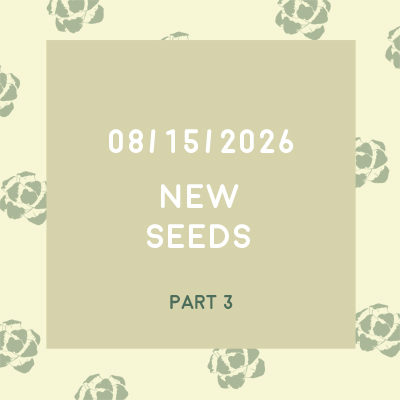 Aug. 15th, 2026 (New Seeds) Aug. 15th, 2026 (New Seeds)
