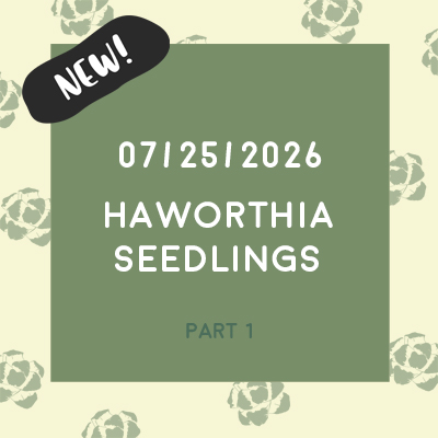 July 25th, 2026 (Seedlings) July 25th, 2026 (Seedlings)