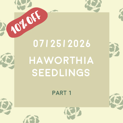 July 25th, 2026 (Seedlings) July 25th, 2026 (Seedlings)