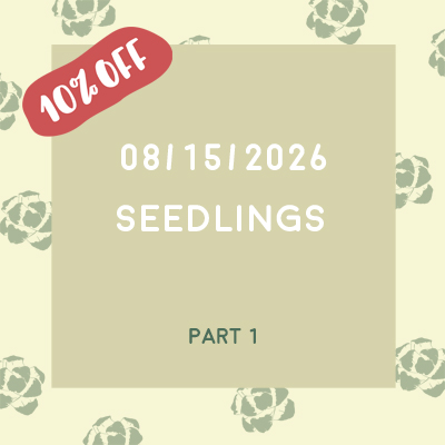 Aug. 15th, 2026 (Seedlings) Aug. 15th, 2026 (Seedlings)